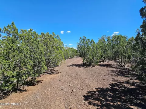 1235 Baha Rd, Show Low, AZ 85901