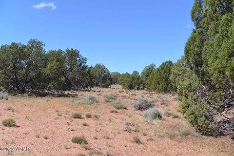 4027 Indian Bend Rd, Snowflake, AZ 85937