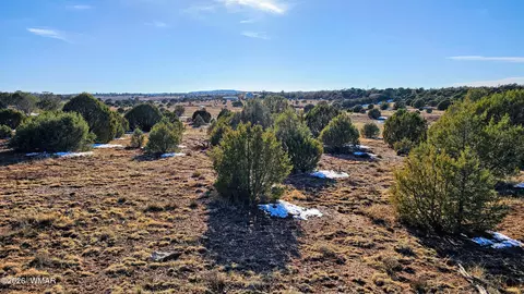 4964 Morning Glory St, Clay Springs, AZ 85923