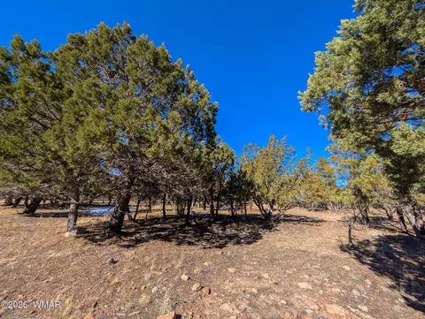 1462 Low Mountain Trl, Heber, AZ 85928