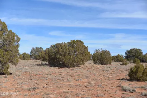 3988 Antelope Ridge Rd, Snowflake, AZ 85937
