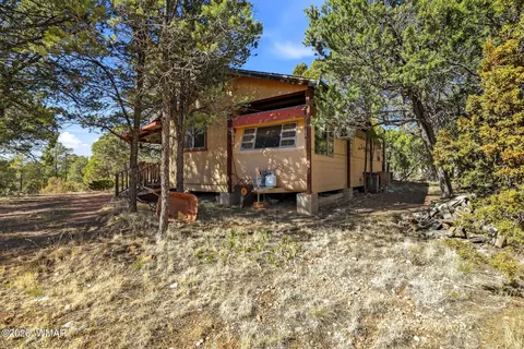 3471 Evergreen Dr, Overgaard, AZ 85933 photo 20