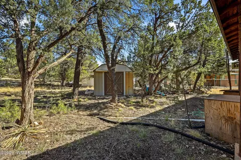 3471 Evergreen Dr, Overgaard, AZ 85933 photo 22
