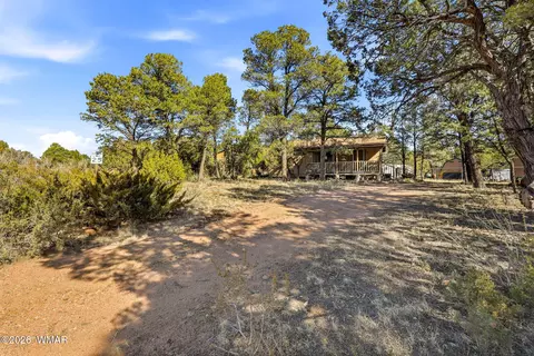 3471 Evergreen Dr, Overgaard, AZ 85933 photo 5