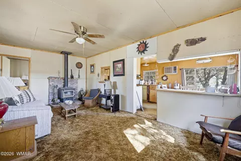 3471 Evergreen Dr, Overgaard, AZ 85933 photo 10