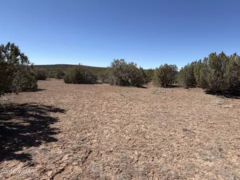 Other - 63 County Rd, Concho, AZ 85924 photo 2 of 11