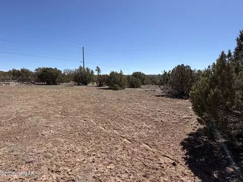 Exterior - 63 County Rd, Concho, AZ 85924 photo 6 of 6