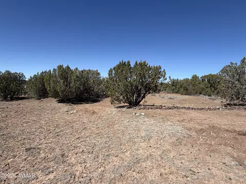 Exterior - 63 County Rd, Concho, AZ 85924 photo 5 of 6