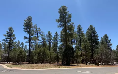 2480 Narrow Leaf Ln, Show Low, AZ 85901
