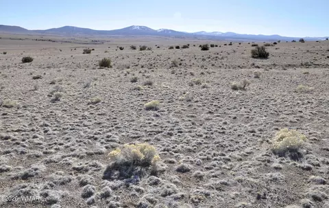 152 Cr 3371, Concho, AZ 85924