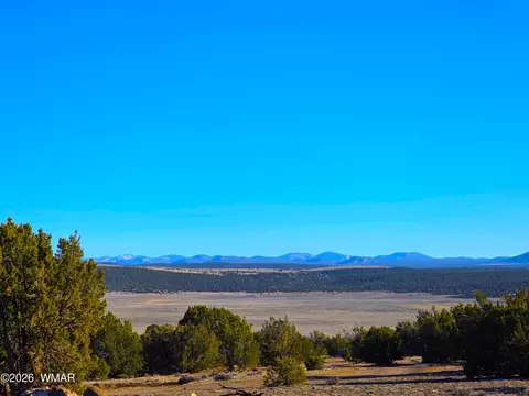 tbd Bunkhouse Rd, Show Low, AZ 85901