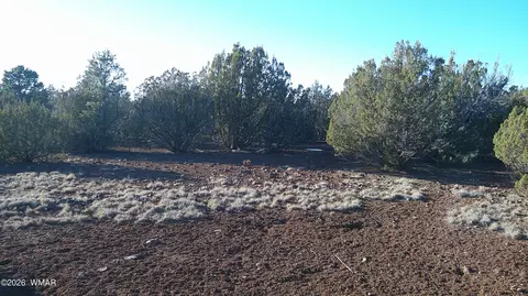 346 Cr Rd, Concho, AZ 85924