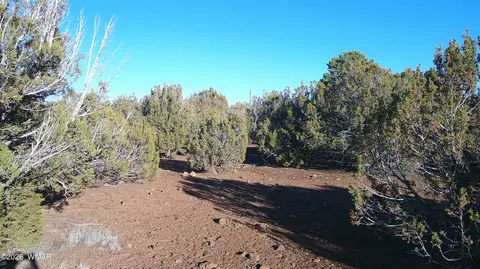 346 Cr Rd, Concho, AZ 85924 photo 18