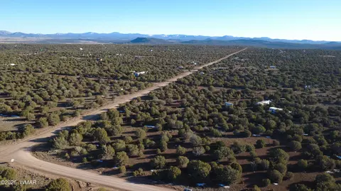 346 Cr Rd, Concho, AZ 85924 photo 11