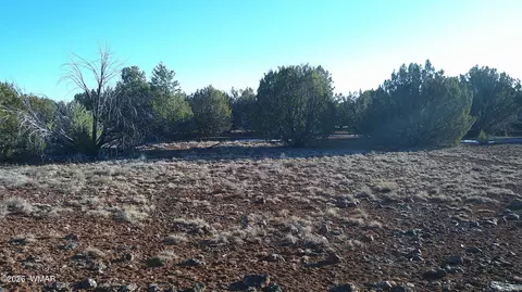 346 Cr Rd, Concho, AZ 85924 photo 20