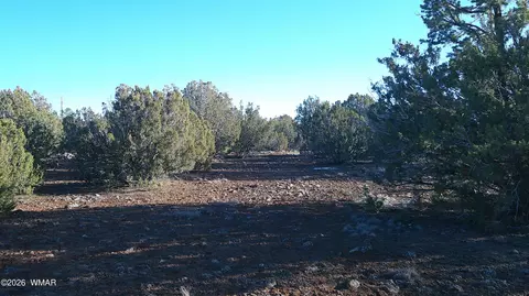 346 Cr Rd, Concho, AZ 85924 photo 13