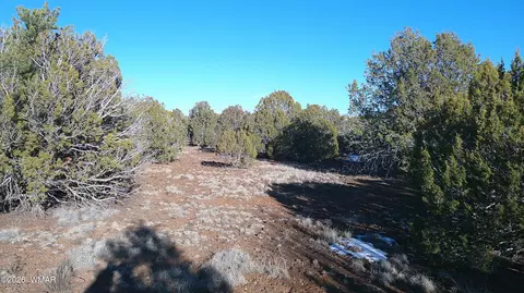 346 Cr Rd, Concho, AZ 85924 photo 16