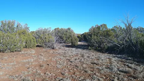 346 Cr Rd, Concho, AZ 85924 photo 19