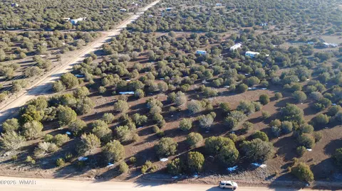 346 Cr Rd, Concho, AZ 85924 photo 3