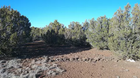 346 Cr Rd, Concho, AZ 85924 photo 17
