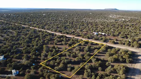 346 Cr Rd, Concho, AZ 85924 photo 8