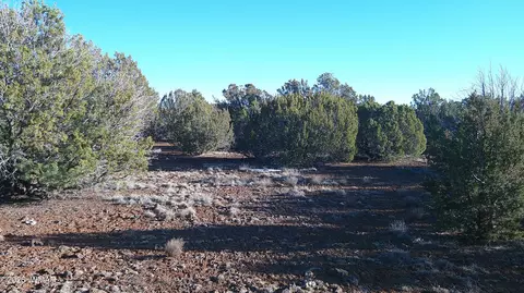 346 Cr Rd, Concho, AZ 85924 photo 15