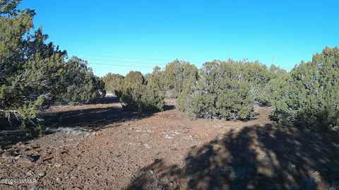 346 Cr Rd, Concho, AZ 85924 photo 14