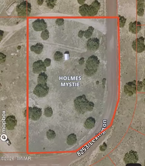 104 County Road 8253, Concho, AZ 85924