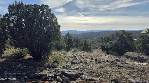 4 County Rd 8127, Concho, AZ 85924 photo 7