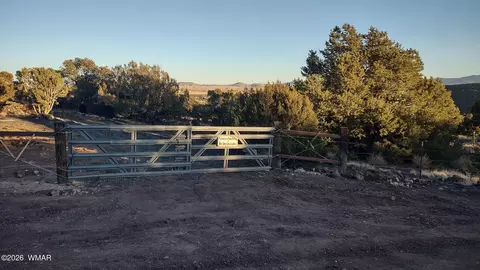 4 County Rd 8127, Concho, AZ 85924