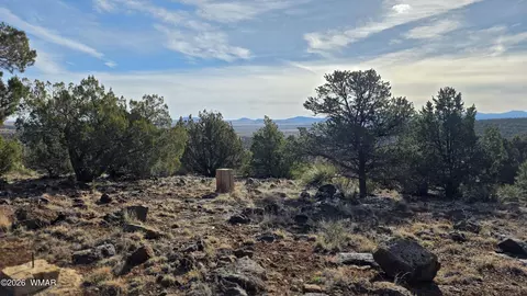 4 County Rd 8127, Concho, AZ 85924 photo 6