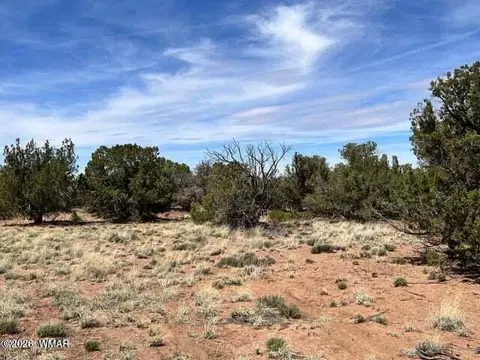 4265 E Pinto Rd, Snowflake, AZ 85937 photo 2