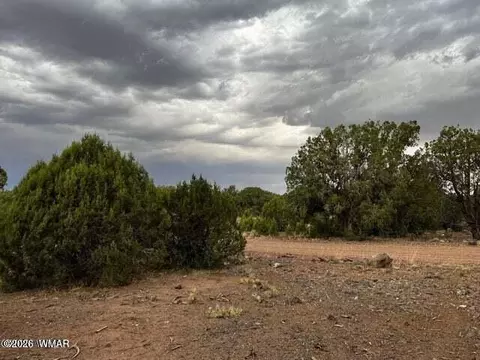 4265 E Pinto Rd, Snowflake, AZ 85937 photo 3