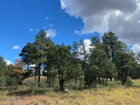 2101 W Whispering Spgs, Show Low, AZ 85901
