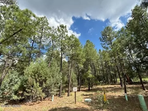 2340 W Pinegrass Rd, Show Low, AZ 85901