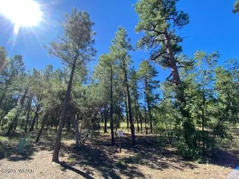2360 Pinegrass Rd, Show Low, AZ 85901