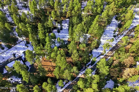 32 N1068, Greer, AZ 85927 photo 9