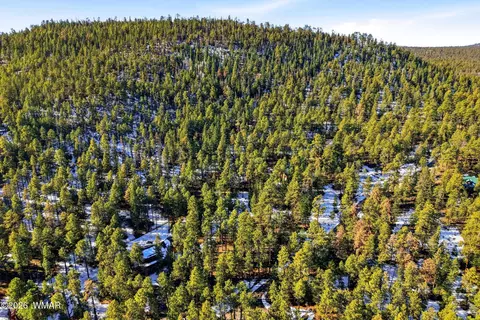 32 N1068, Greer, AZ 85927 photo 16