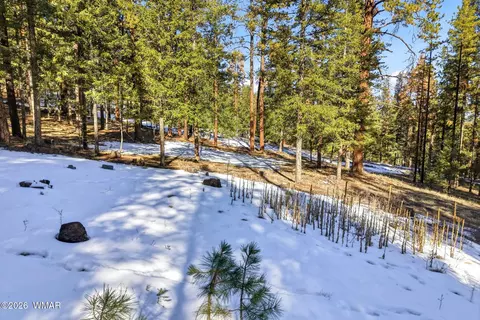 32 N1068, Greer, AZ 85927 photo 6