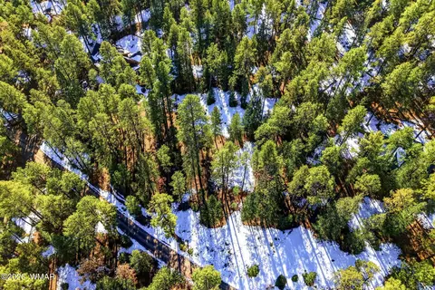 32 N1068, Greer, AZ 85927 photo 3