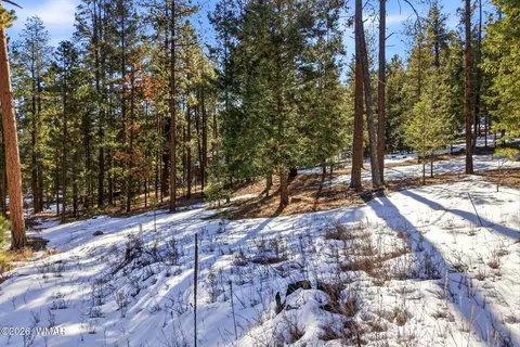 32 N1068, Greer, AZ 85927 photo 4