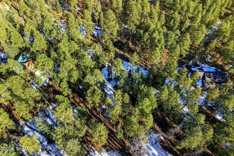 32 N1068, Greer, AZ 85927 photo 12