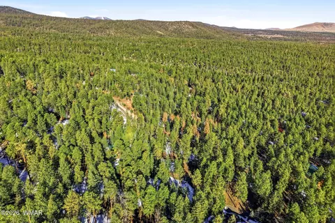 32 N1068, Greer, AZ 85927 photo 15