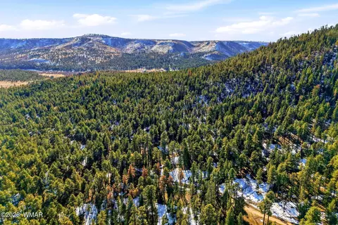 32 N1068, Greer, AZ 85927 photo 18