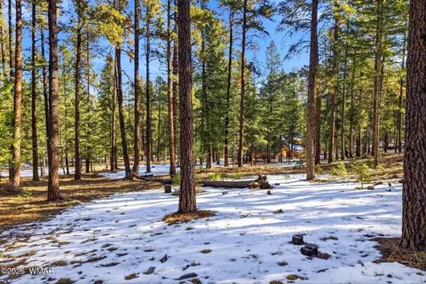 32 N1068, Greer, AZ 85927 photo 7