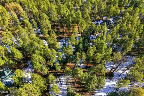 32 N1068, Greer, AZ 85927 photo 13
