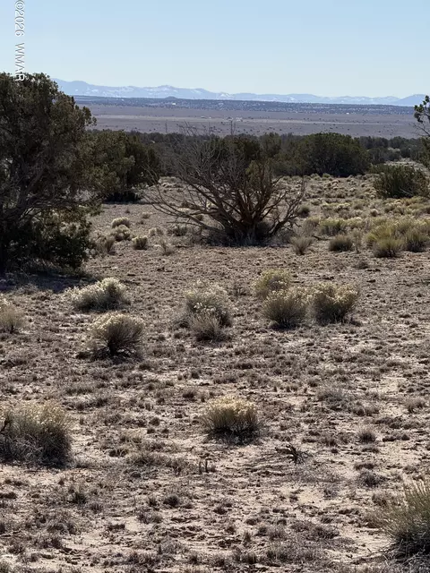 tbd N6549, Saint Johns, AZ 85936