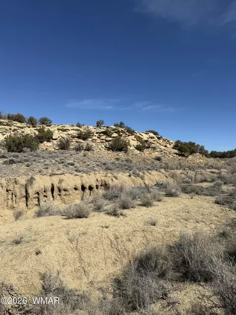 310 N County Road 6726, Saint Johns, AZ 85936