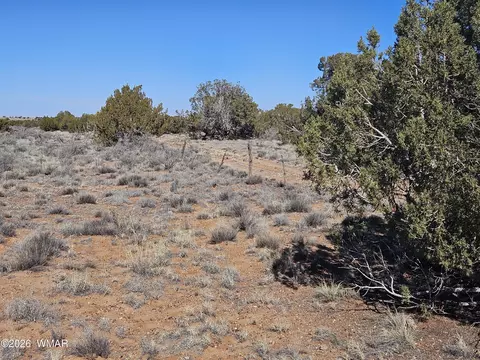 Undisclosed, Snowflake, AZ 85937 photo 20