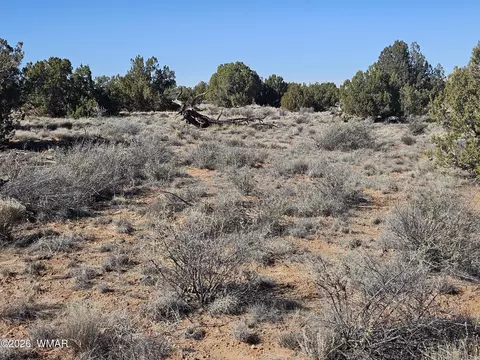 Undisclosed, Snowflake, AZ 85937 photo 21
